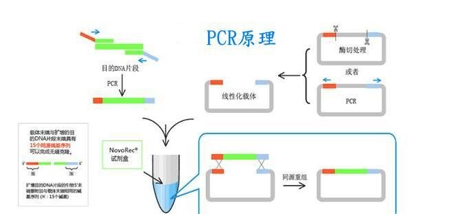 犬流感病毒电泳法PCR试剂盒